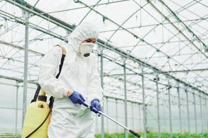 jong kas vrouw arbeider in vol wit beschermend uniform gieter planten binnen van broeikas foto