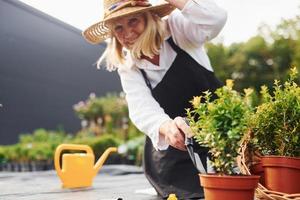 werken met planten in potten. senior vrouw is in de tuin Bij dag. opvatting van planten en seizoenen foto