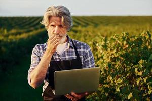 met laptop in handen. senior elegant Mens met grijs haar- en baard Aan de agrarisch veld- met oogst foto