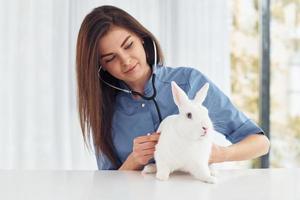 vrouw dierenarts is binnenshuis met weinig konijn. opvatting van gezondheidszorg foto
