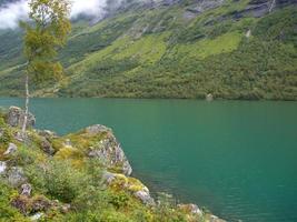 de fjorden van Noorwegen foto