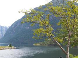 de fjorden van Noorwegen foto