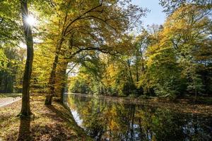 stedelijk natuur gedurende herfst foto