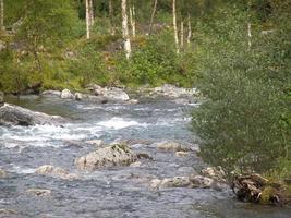 de fjorden van Noorwegen foto