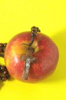 Bijbel eva's zonde rood appel foto