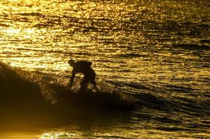 silhouet van een surfer foto