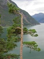 in de Noors fjorden foto