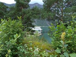 de fjorden van Noorwegen foto