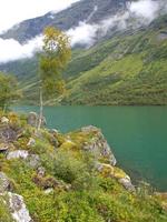 de fjorden van Noorwegen foto