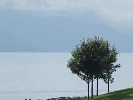 reis in de Noors fjorden foto