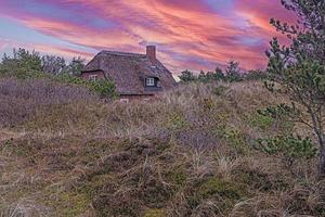 beeld van rieten huis in de duinen van denemarken noorden zee kust Bij zonsondergang foto