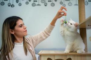 pluizig wit Perzisch kat hebben pret spelen vangst muizen foto