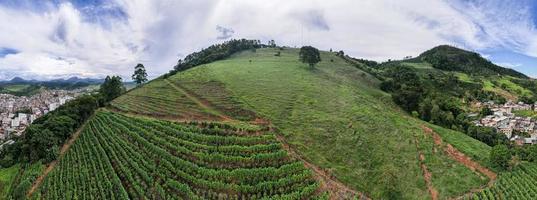 antenne panoramisch dar visie van een koffie plantage in manhuacu, minas gerais, Brazilië foto