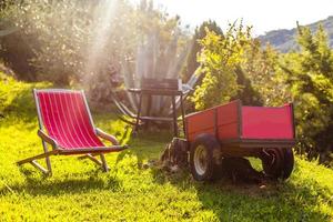 ontspannende geplaatst dek stoel in tuin. foto