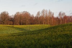 natuurlijk herfst landschappen in Letland foto