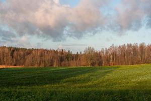 natuurlijk herfst landschappen in Letland foto