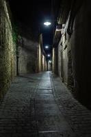 Girona oud stad Bij nacht foto
