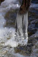 ijspegels in een klein Woud rivier- foto