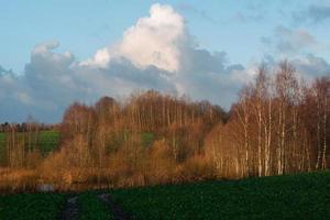 natuurlijk herfst landschappen in Letland foto