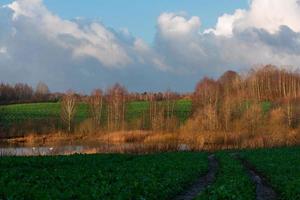 natuurlijk herfst landschappen in Letland foto