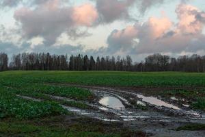 natuurlijk herfst landschappen in Letland foto