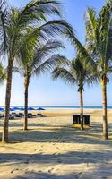 palmen parasols zon ligstoelen strand toevlucht zicatela puerto escondido Mexico. foto