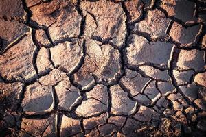 grond barst achtergrond bodem structuur en seizoen droog modder dor land- foto