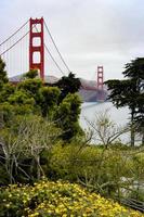 gouden poort brug in san francisco in portret visie. foto