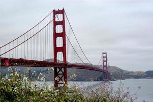 san francisco gouden poort brug met bloemen bloeiend in de voorgrond. foto