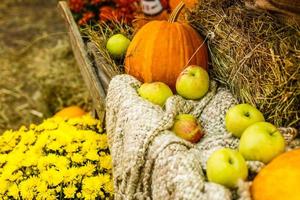 dankzegging seizoen, herfst oogst van appels en pompoenen foto