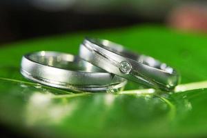 een paar- van bruiloft ringen Aan een groen blad met een reflectie onderstaand, dichtbij omhoog. foto