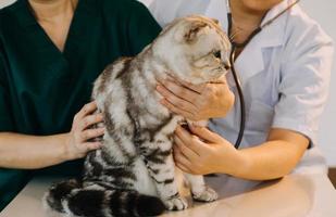 controle de adem. mannetje dierenarts in werk uniform luisteren naar de adem van een klein hond met een phonendoscope in veterinair kliniek. huisdier zorg concept foto