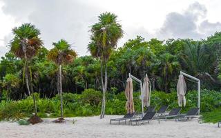 palmen parasols ligstoelen strandresort playa del carmen mexico. foto