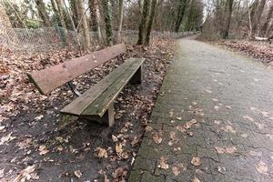 wandelen in de bossen Aan een regenachtig dag foto