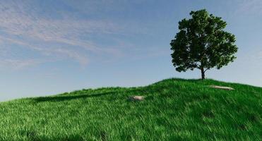 eenzaam boom Aan gras heuvel foto