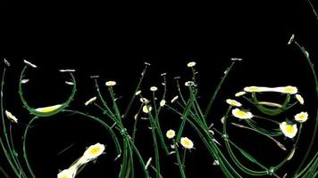 abstract bloemen botanisch digitaal illustratie foto