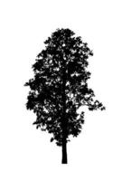 geïsoleerd boom silhouet voor borstel Aan wit achtergrond foto