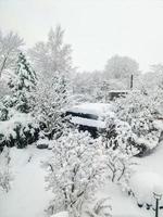 mooi schoten van bomen na zwaar sneeuwval in zonnig het weer. foto