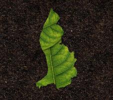 Liechtenstein kaart gemaakt van groen bladeren Aan bodem achtergrond ecologie concept foto