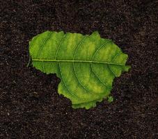 Litouwen kaart gemaakt van groen bladeren Aan bodem achtergrond ecologie concept foto