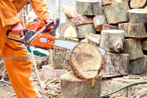 houthakker werknemer in volledige beschermende uitrusting snijden brandhout in bos met een professionele kettingzaag foto
