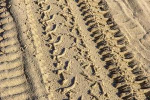 sporen van verschillend auto banden Aan de zand van de zee strand. dichtbij omhoog foto