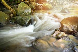 rotsachtig stroom rivier- klein waterval vloeiende van de berg in de natuur regen Woud foto