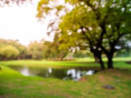 wazig beeld natuurlijk groen park achtergrond behang foto