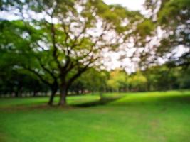 wazig beeld natuurlijk groen park achtergrond behang foto