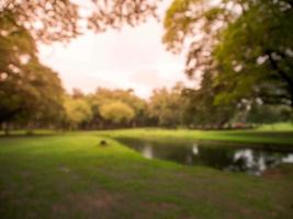 wazig beeld natuurlijk groen park achtergrond behang foto