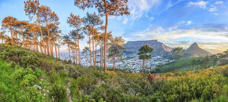 panorama van kaap stad- van signaal heuvel foto