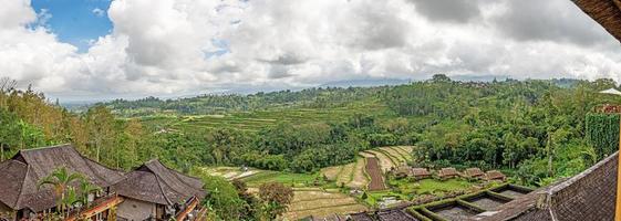 visie over- typisch rijst- terrassen Aan de eiland van Bali in Indonesië foto