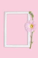 roze kaasjeskruid met kader Aan roze achtergrond. verjaardag, maart 8, Internationale vrouwen dag. model. kopiëren ruimte foto