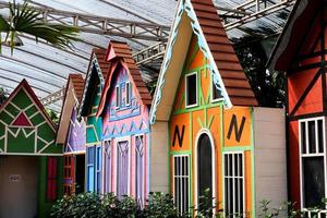 gekleurde houten huis gelegen in de celosia bloem tuin semarang foto